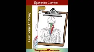Headache behind the eye, often with neck ache