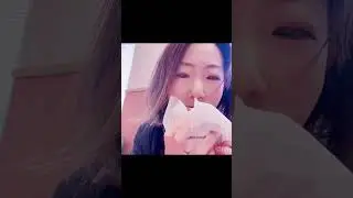 モスチーズバーガー