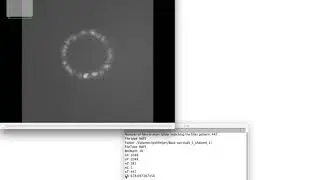 ImageJ BigDataProcessor2: Open TB-sized Hdf5 series