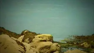 Beach Timelapse
