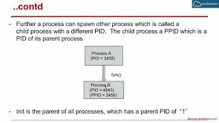 10.1 Process Basics