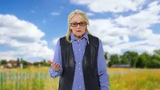 Сайт Росреестра