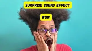 SURPRISE SOUND EFFECT