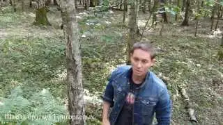 Забег толстяков.