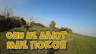 ЭТИ ОГОРОДЫ не дают мне покоя!!!