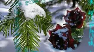 День рождения