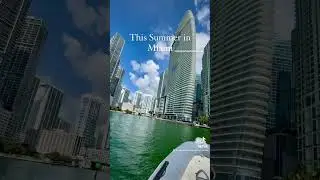 “The best thing we did in Miami this summer!” Zach B. , July 2023 
