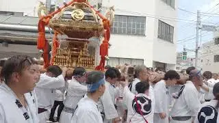 深川神明宮　例大祭　勇壮な水掛け祭　町神輿連合渡御（勢揃い）　2024/08/18  c20