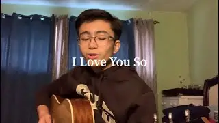 i love you so - the walters (cover by john lloyd de leon)