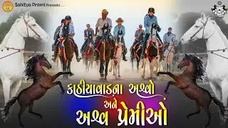 kathiyawadi Horse | Kathi Darbar | Horse Lover | Fuleku | Sahitya Premi
