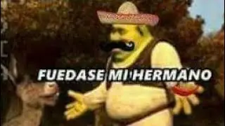 PP