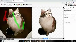 PhotoScissors Online Screencast Tutorial