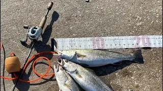 how to fish a 3 way swivel for speckled trout