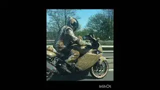 Пушистые мотоциклы  