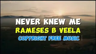 Never Knew Me_Rameses B Veela_Copyright Free Music _2024 |