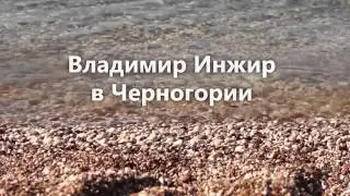 Владимир Инжир семинар 