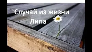 Случай из жизни