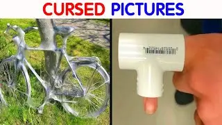 50 Cursed Photos that will Raise Many Whys and Hows