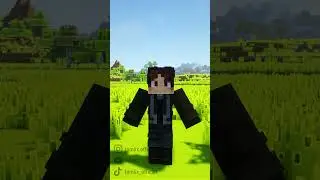 This friend who lags on Minecraft