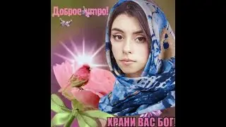 кринжерофловидос