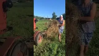 Уборка сена