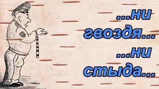 Смешные анекдоты о таксистах, бабке с автоматом и вежливом гаишнике