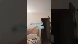 дракон с ухом красивый или нет