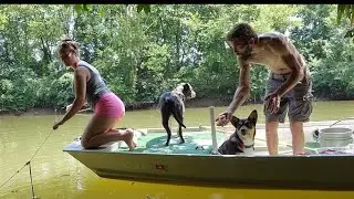 Dog Days of Summer