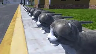 Жесть в cat simulator animal life
