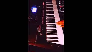 Rammstein - Ramm4 Keyboard Samples
