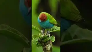 Nikon D90 zoom 2000 r1 Nikon vs Sony 