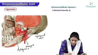 Temporomandibular Joint | TMJ Anatomy | Mandibular Joint