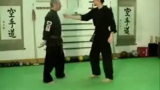 Kenpo Technique Demonstration