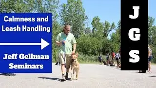 Calmness and Leash Handling - Jeff Gellman Seminars (2019)