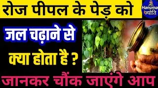पीपल को जल चढ़ाने से क्या होता है।pipal ke chamatkari totke।peepal ke upay।peepal ke totke।