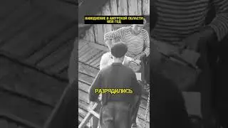 Наводнение в Амурской области в 1958 году  