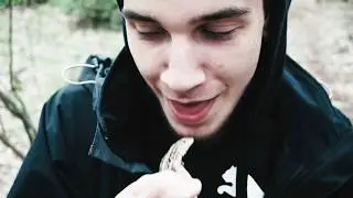 Варан Джон и Ко
