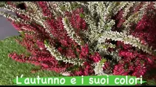 I colori dell'autunno