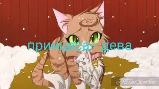 Коты-воители карозкоп (заказ)