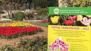 Побывал на параде тюльпанов. Влог