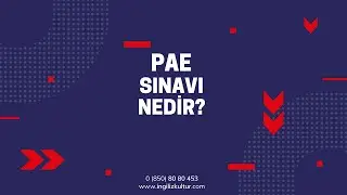 İngiliz Kültür | PAE Sınavı Nedir? Nasıl Hazırlanılır?