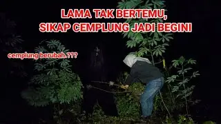 🔴PENAMPAKAN CEMPLUNG