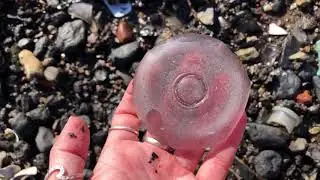 Mudlarking Victorian Era Landfill