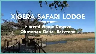 Celestielle #402 Xigera Safari Lodge, Moremi Game Reserve, Okavango Delta, Botswana
