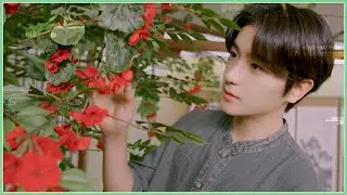 추석특집 | 最高의 가문을 가려라! 김가네 VS 이가네 | TEASER