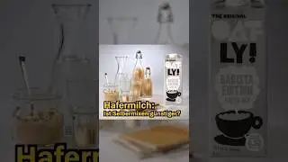 Hafermilch Schnelltest: Ist Selbermixen günstiger? Preisvergleich mit Oatly (Stiftung Warentest)