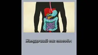#интересные факты