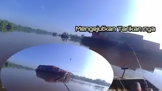Tarikan Yang Mengejutkan Bikin Ujung Joran Bergetar