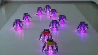 RoboBuilder Xmas Dance Routine