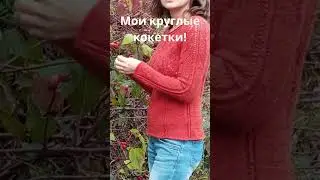 Мои круглые кокетки! 